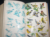 1946 FIELD BOOK OF EASTERN BIRDS HARDCOVER BOOK BY LEON HAUSMAN - KD 7270