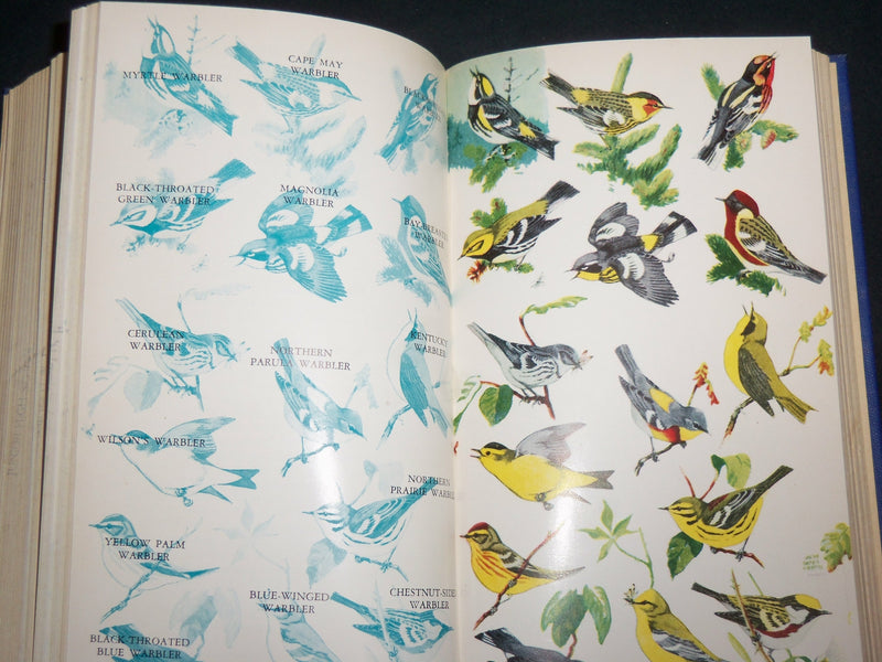 1946 FIELD BOOK OF EASTERN BIRDS HARDCOVER BOOK BY LEON HAUSMAN - KD 7270