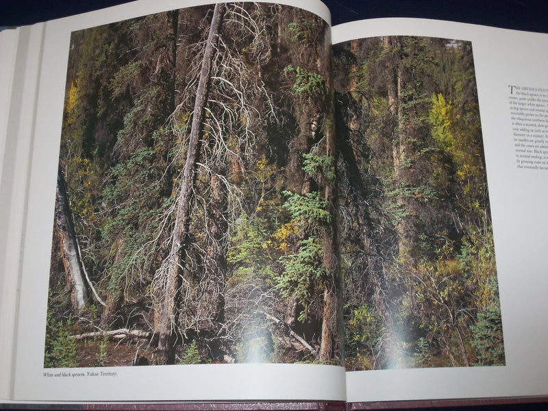 1991 FORESTS NORTH AMERICA'S WILDERNESS BOOK BY TIM FITZHARRIS - PHOTOS- KD 2738