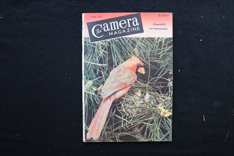 1951 JUNE THE CAMERA MAGAZINE - MOTHER AND BABY BIRDS COVER - K 359