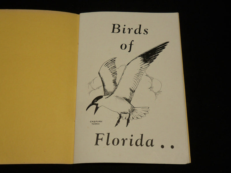 1945 BIRDS OF FLORIDA SOFTCOVER BOOK BY FRANCIS MYLY HALL - J 6563