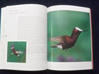 2009 THE COMPLETE BOOK OF HUMMINGBIRDS SOFTCOVER BOOK BY TONY TILFORD - KD 8822