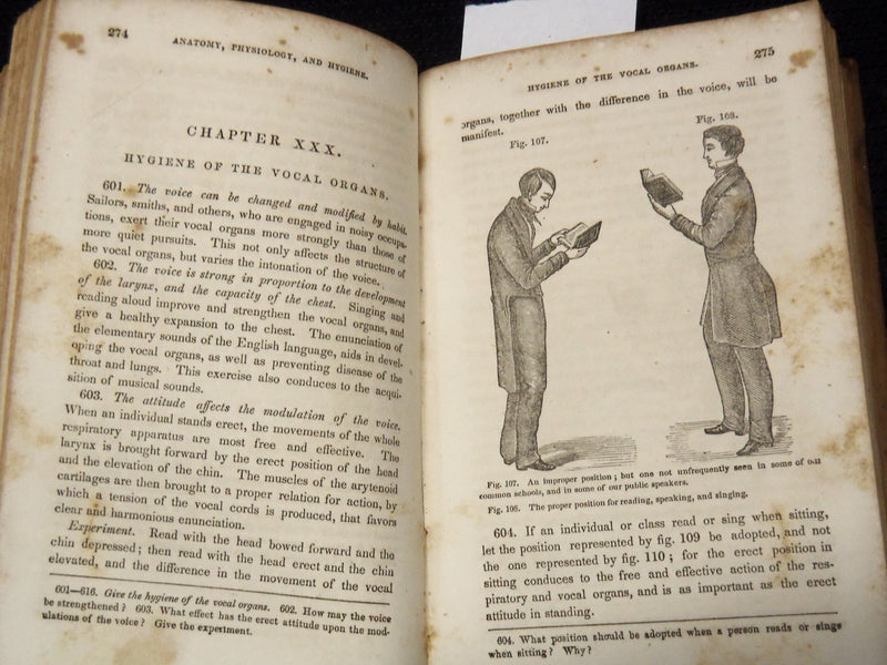 1853 A TREATISE OF ANATOMY BOOK BY CALVIN CUTTER, M. D - NICE ILLUS. - J 8118