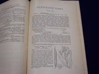 1898 AN ILLUSTRATED FLORA OF NORTHERN US & CANADA VOLUME NO. 3 - KD 3557