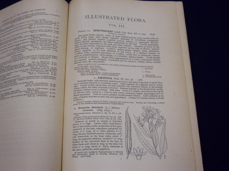 1898 AN ILLUSTRATED FLORA OF NORTHERN US & CANADA VOLUME NO. 3 - KD 3557