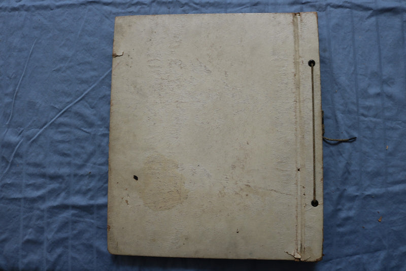 ALICE FAYE SCRAPBOOK - E 26468