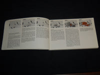 1983 A GUIDE TO THE ARCHITECTURE OF METRO PHOENIX BOOK - J 8746