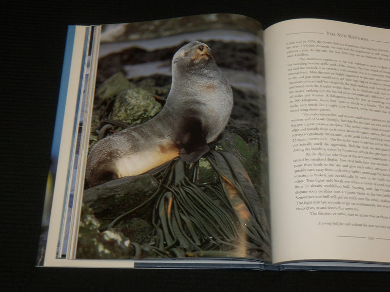 1993 A NATURAL HISTORY OF THE ANTARCTIC HARDCOVER BOOK - R 727S