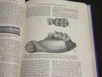 1957 MASTODONTS OF BRAZIL BY GEORGE GAYLORD SIMPSON BOOK - KD 4176
