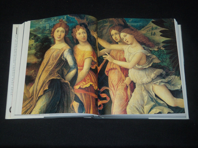 1987 PAINTINGS IN THE LOUVRE HARDCOVER BOOK BY LAWRENCE GOWING - I 1809