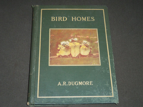 1902 BIRD HOMES EGGS & BREEDING BY A. R. DUGMORE - GREAT ILLUSTRATIONS - KD 33
