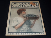1919 OCTOBER 11 THE COUNTRY GENTLEMAN MAGAZINE ILLUSTRATED COVER ART - E 2917
