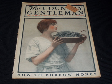 1919 OCTOBER 11 THE COUNTRY GENTLEMAN MAGAZINE ILLUSTRATED COVER ART - E 2917