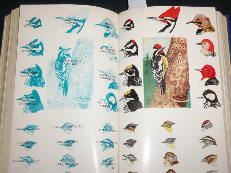 1946 FIELD BOOK OF EASTERN BIRDS HARDCOVER BOOK BY LEON HAUSMAN - KD 7270