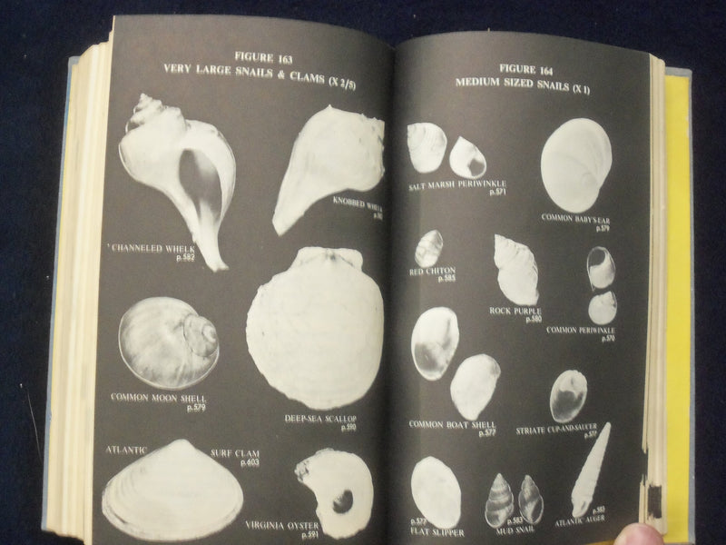 1959 COMPLETE FIELD GUIDE TO AMERICAN WILDLIFE HARDCOVER BOOK - KD 8682