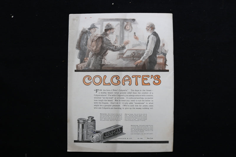 1920 JANUARY 10 COLLIER'S MAGAZINE - A MAN PAINTING WOODEN DUCKS COVER - E 10966