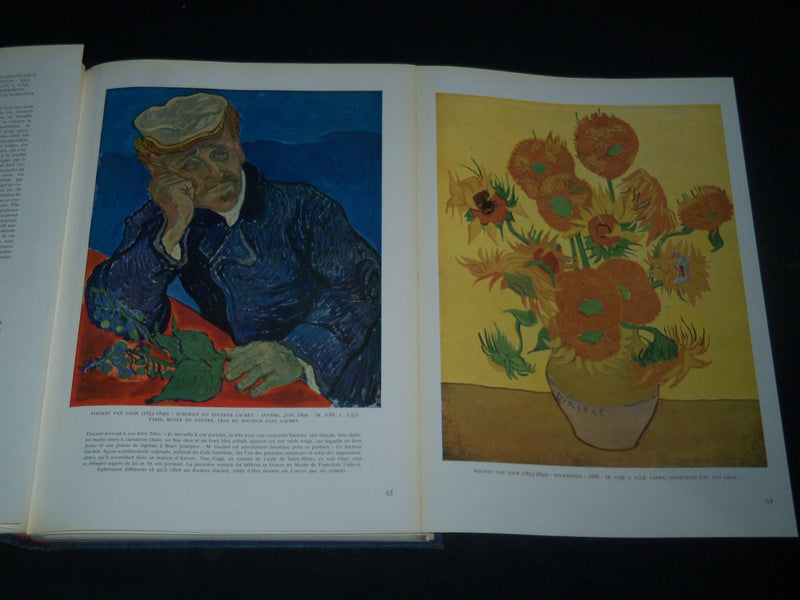 1953 PEINTURE MODERNE BOOK - MAURICE RAYNAL - ALBERT SKIRA - NICE ILLUS - R 275I