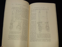 1902-1904 HARVARD ZOOLOGICAL LABORATORY STUDY BOOKS LOT OF 3 - O 2366Q