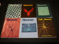 1993 NEURON MAGAZINE LOT OF 12 ISSUES - NICE COVERS & PHOTOS - O 2561G