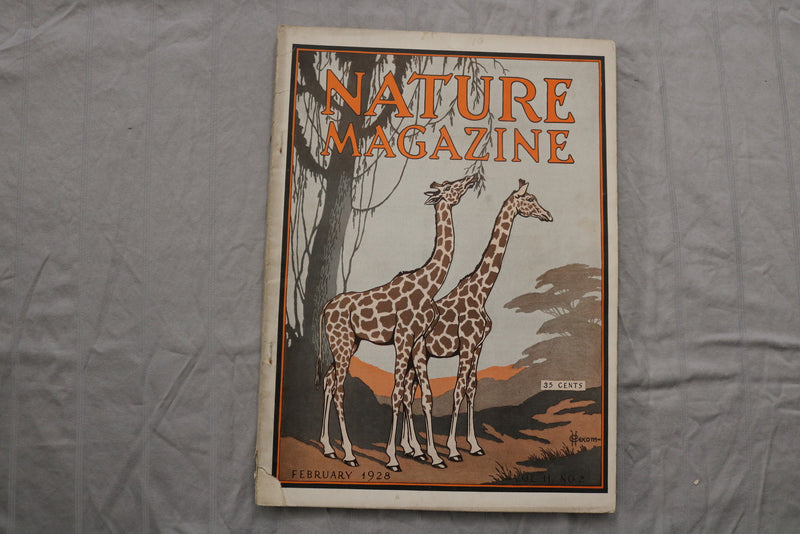 1928 FEBRUARY NATURE MAGAZINE - F 255E