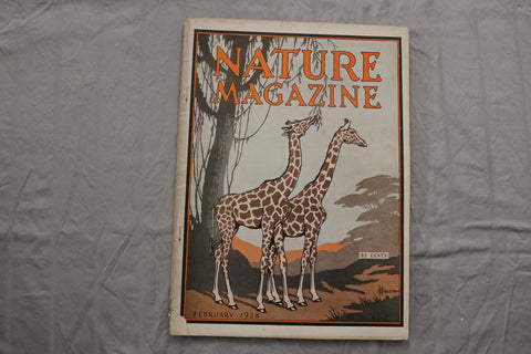 1928 FEBRUARY NATURE MAGAZINE - F 255E