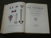 1929 ANNALS OF ROENTGENOLOGY VOLUME 8 - JAMES CASE - THE VERTEBRAE - KD 6218