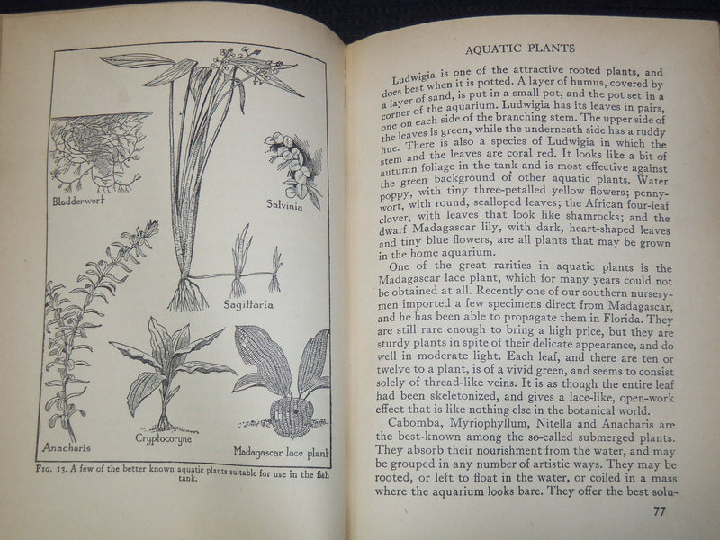 1947 TROPICAL FISH SOFTCOVER BOOK BY LUCILE QUARRY MANN - K 2657