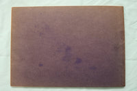 1901 ELKS GRAND CARNIVAL REUNION PHOTO ALBUM - SOFTCOVER BOOK - K 2483