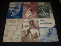 1953-1956 JUNIOR NATURAL HISTORY MAGAZINE LOT OF 35 ISSUES - O 1779C
