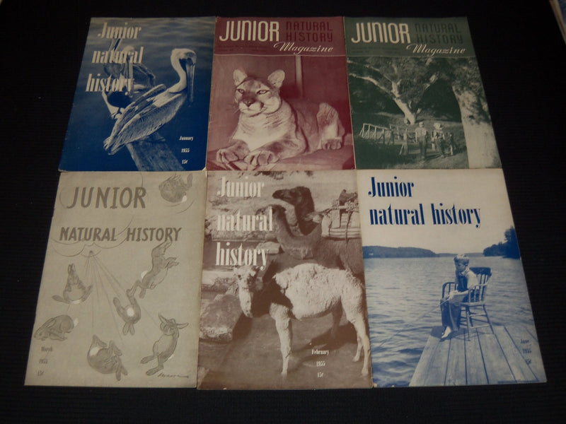 1953-1956 JUNIOR NATURAL HISTORY MAGAZINE LOT OF 35 ISSUES - O 1779C