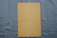 1930'S WATKINS GLEN, NY GUIDE BOOK WITH FOLD-OUT PICTORIAL MAP - K 3145