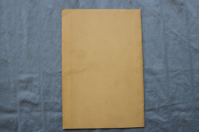 1930'S WATKINS GLEN, NY GUIDE BOOK WITH FOLD-OUT PICTORIAL MAP - K 3145