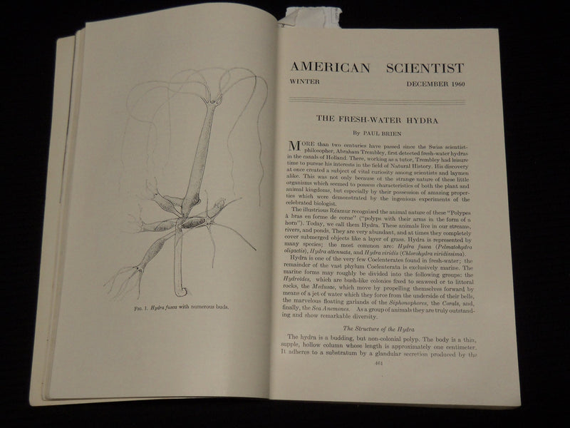 1960 DECEMBER AMERICAN SCIENTIST MAGAZINE - VOLUME 48 NO. 4 - SP 4862N