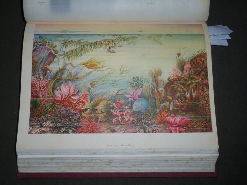 1928 IL MARE BOOK BY EGISTO ROGGERO - ITALIAN - GREAT MAPS - KD 4919