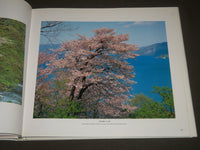 1987 CHERRY BLOSSOMS BY MAGOICHI KUSHIDA HARDCOVER BOOK - I 1144