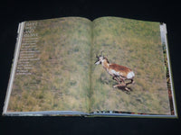 1974 THE SPORTSMAN'S WILDERNESS HARDCOVER BOOK - GREAT PHOTOS - I 1918