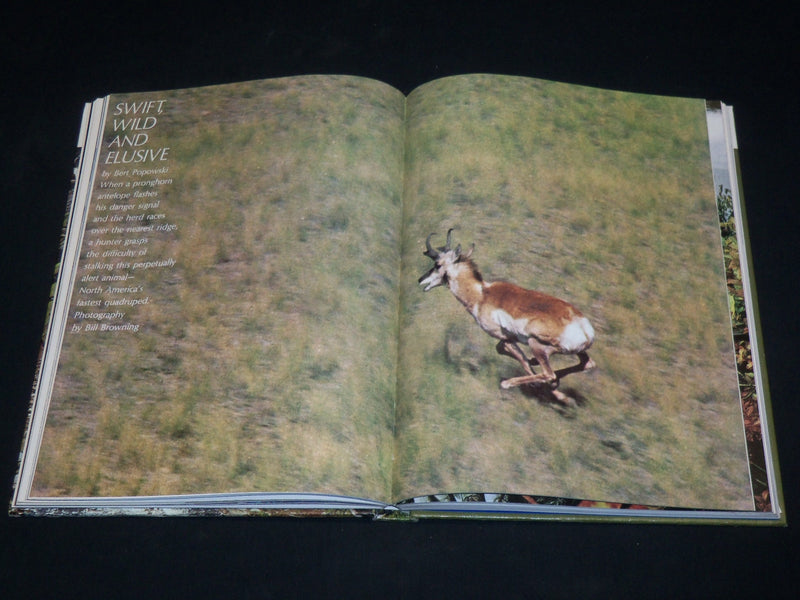 1974 THE SPORTSMAN'S WILDERNESS HARDCOVER BOOK - GREAT PHOTOS - I 1918