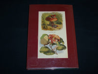 1983 ARTIST & THE CRITICS' SERIES - RICHARD DOYLE BOOK BY RODNEY ENGEN - KD 7076
