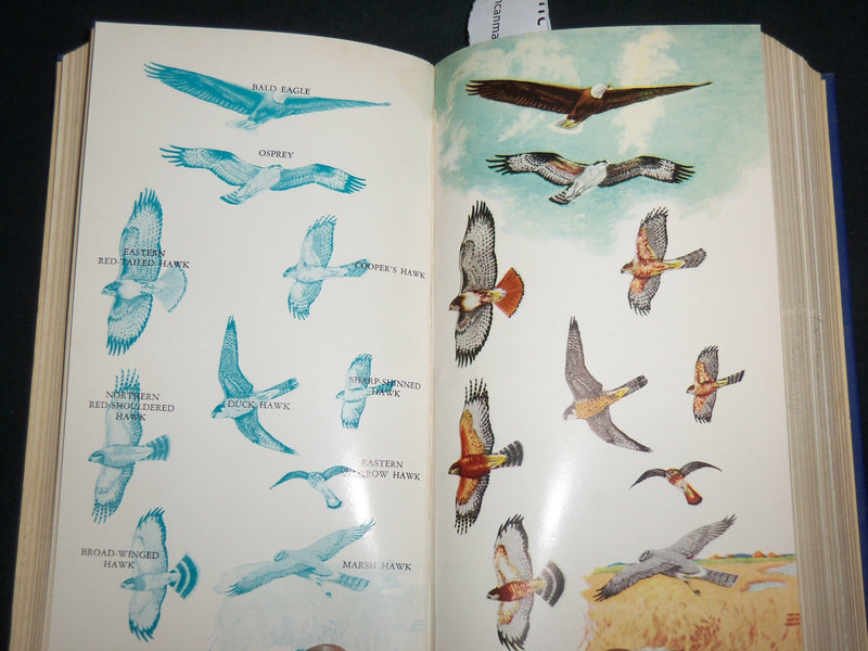 1946 FIELD BOOK OF EASTERN BIRDS HARDCOVER BOOK BY LEON HAUSMAN - KD 7270