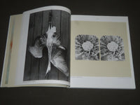 1987 PHOTOGRAPHY AS FINE ART WITH AN INTRO BY DOUGLAS DAVIS BOOK - I 956