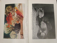 1950 GUIDE TO THE JOHN G. SHEDD AQUARIUM BOOK BY WALTER H. CHUTE - KD 2978
