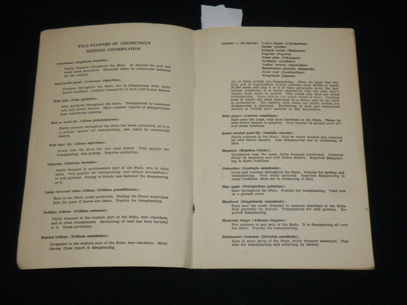1900'S CONSERVATION LIST OF CONNECTICUT WILD FLOWERS SOFTCOVER BOOK - J 6511