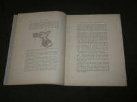 1906 EARLY DEVELOPMENT OF THE EGG OF CLAVA LEPTOSTYLA BOOK BY HARGITT - J 7119