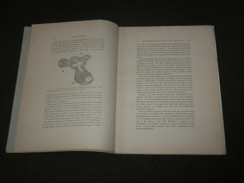 1906 EARLY DEVELOPMENT OF THE EGG OF CLAVA LEPTOSTYLA BOOK BY HARGITT - J 7119