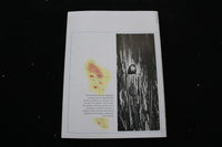 1975 AUTUMN WISCONSIN TRAILS MAGAZINE - LAKE SUPERIOR COVER - E 9872