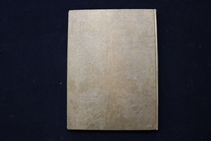 1951 THE CRAFTSMAN TILDEN TECHNICAL HIGH SCHOOL YEARBOOK - CHICAGO, IL - YB 3519
