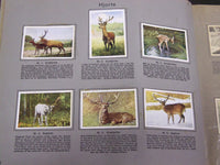 1930'S RICH'S SERIE FRA MARK OG SKOV ANIMAL TOBACCO CARDS ALBUM DANISH - KD 3185