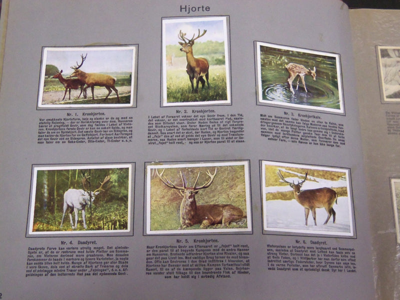 1930'S RICH'S SERIE FRA MARK OG SKOV ANIMAL TOBACCO CARDS ALBUM DANISH - KD 3185