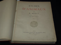 1911 ETUDES D'ANIMAUX FRENCH VOLUME BY M. MEHEUT - 50 ANIMAL PLATES - Z 277