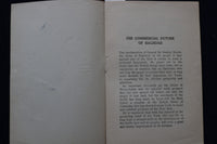 1917 THE COMMERCIAL FUTURE OF BAGHDAD - SOFTCOVER BOOKLET - K 1552